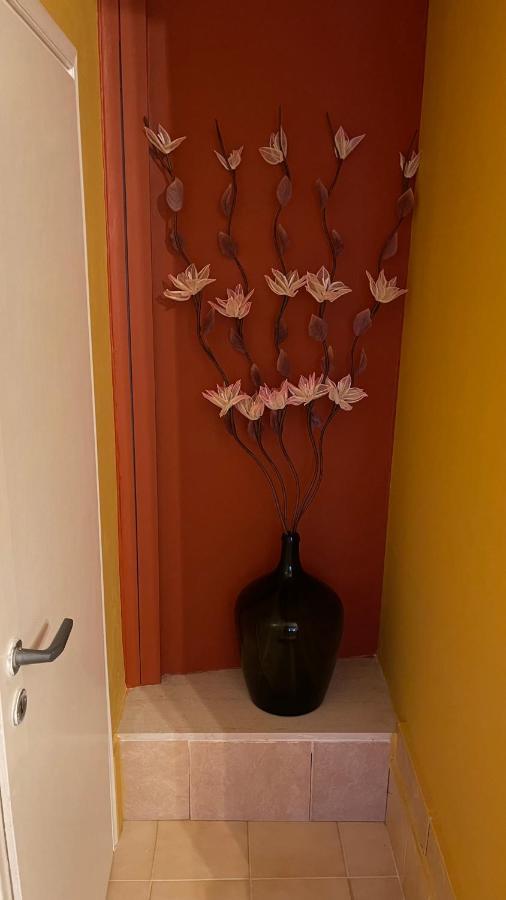 Casa Di Spili - Corfu Old Town Apartment Zewnętrze zdjęcie